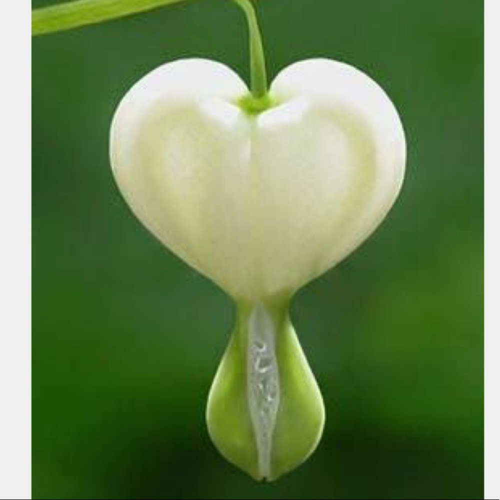 Meet your Posher, Alicia